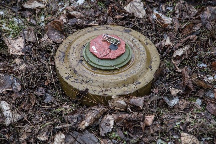На Житомирщині підірвалося авто лісової охорони: є загиблі