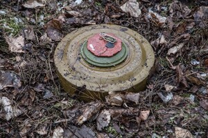 На Житомирщині підірвалося авто лісової охорони: є загиблі