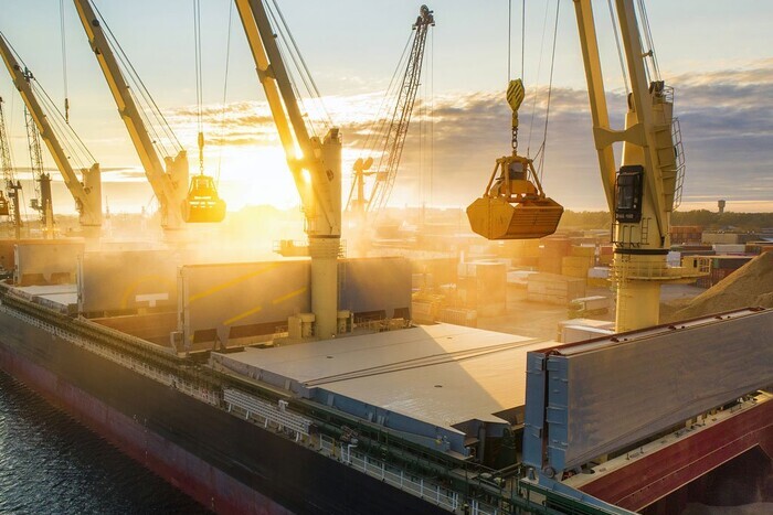 Украинский экспорт в августе значительно вырос: лидеры продаж