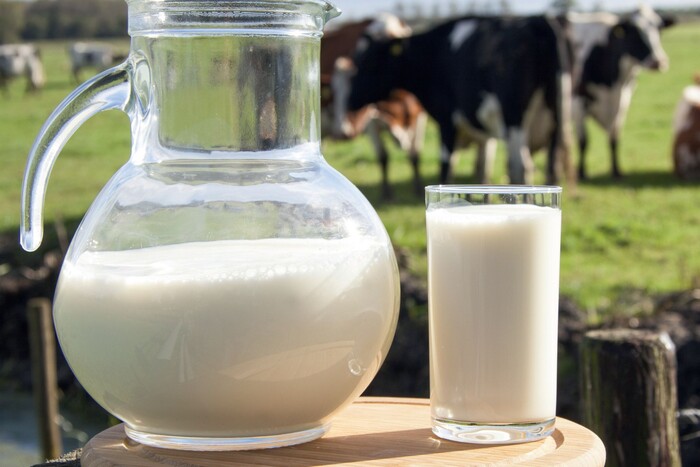 Стало известно, на каком уровне производство молока в Украине