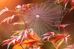 Прогноз погоди на 5 вересня