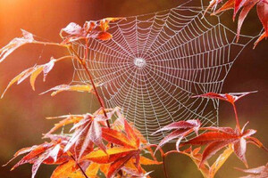 В Украине станет прохладнее: какой будет погода 5 сентября