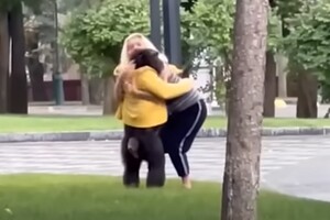 Одягнула куртку та обійняла. Працівниця вмовила шимпанзе повернутись у зоопарк (відео)