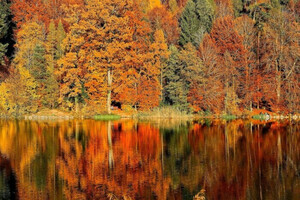 В Украину возвращается тепло: прогноз погоды на 7 сентября