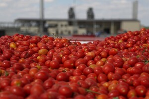 Росія не хоче купувати овочі з Херсонщини