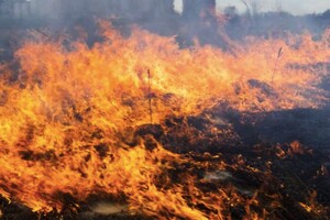 Рятувальники попередили про надзвичайний рівень пожежної небезпеки