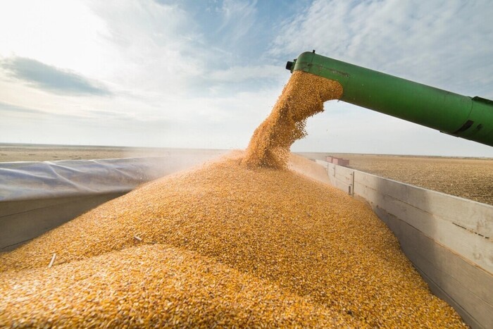 На Луганщині Росія вкрала понад мільйон тонн зерна