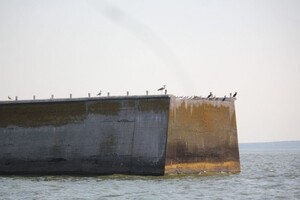 Міноборони РФ осоромилося фейком про «знищення українських десантників»