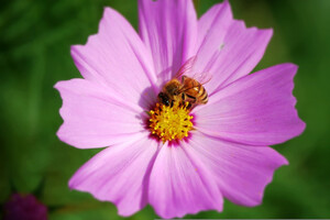 24 сентября: какой сегодня праздник, приметы и запреты