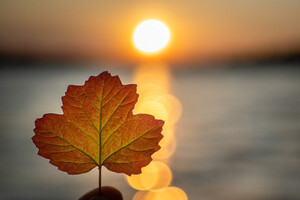 25 сентября: какой сегодня праздник, приметы и запреты