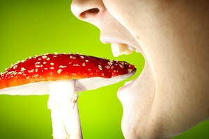 Медики рассказали, что запрещено делать при отравлении грибами