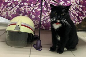 Щасливий нагороджений 