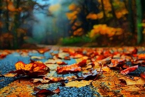 Потепління з туманами та дощами: якою буде погода 28 вересня