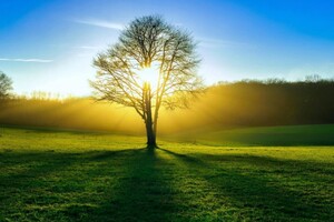 Синоптики приголомшили прогнозом погоди на кінець вересня