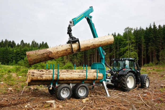 Зеленский ввел в действие решение СНБО о защите и использовании лесов
