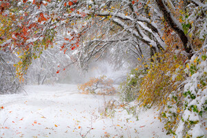 В Украине ожидается снег. Синоптики ошарашили прогнозом на октябрь