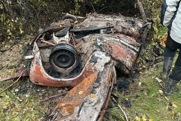 Пішли по гриби: у лісі на Чернігівщині знайдено тіла чотирьох чоловіків (фото)