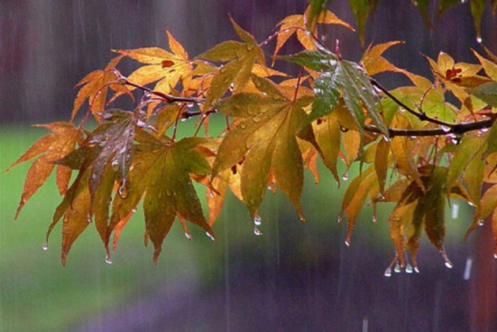 Штормовий вітер та дощі: прогноз погоди в Україні на 2 жовтня