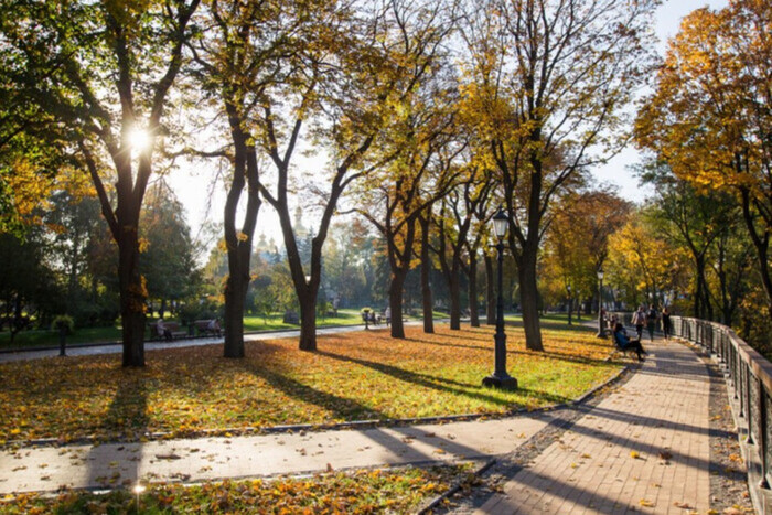 Бабье лето идет в Украину: какой будет погода 6 октября