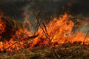 Суд змусив палія трави виплатити пожежникам 134 тис. грн компенсації