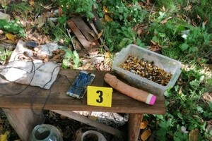 Знайдені зуби і коронки з кольорового металу, ймовірно, належали 50 людям
