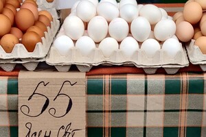 Влада каже, що ціни на яйця найближчим часом «вирівняються»