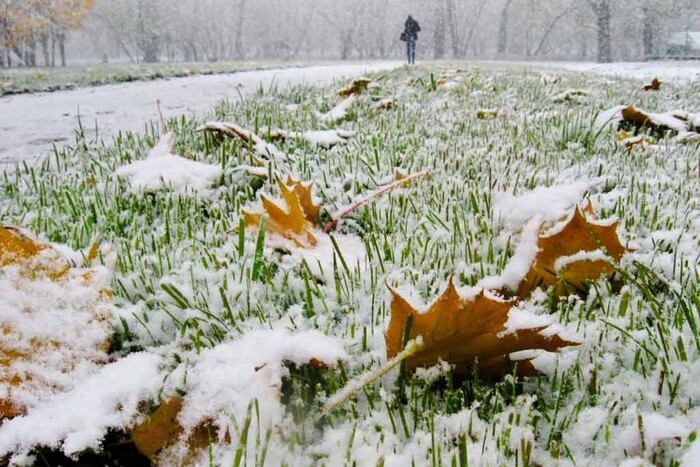 В Україні найближчими днями очікується перший сніг