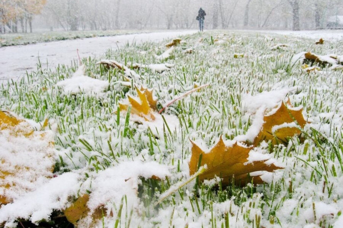 В Украине в ближайшие дни ожидается первый снег