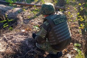 Небезпека у лісах на Київщині: Жителі досі знаходять вибухонебезпечні предмети (фото)