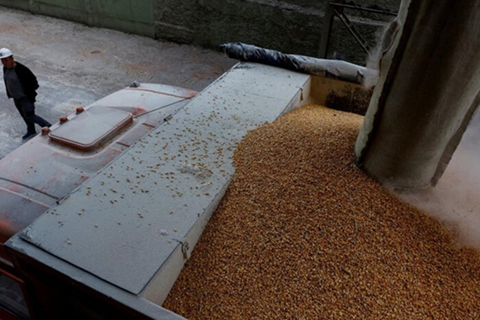Россия планирует продать еще почти 2 млн тонн украденного украинского зерна