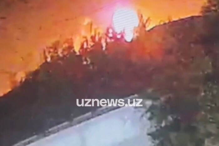 В Узбекистані стався вибух на військовому складі: багато поранених (відео)