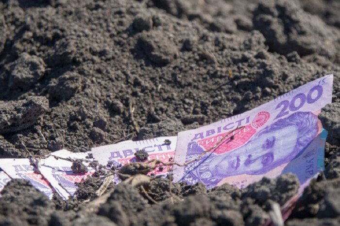 В Україні попри війну зростає ціна на землю: скільки нині коштує гектар 