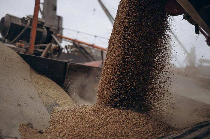 Росія заявила, що зупиняє дію зернової угоди через вибухи в Севастополі