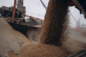 Москва зупиняє участь у реалізації зернової угоди