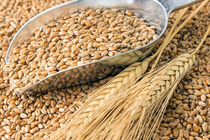 В мире резко выросли цены на пшеницу после выхода РФ из зернового соглашения