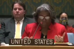 Бойові комарі. Представниця США в ООН публічно потролила Росію (відео) 