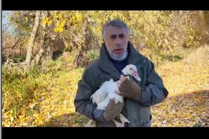 Лікар Комаровський підірвав мережу відео про брудних качок та бойових комарів