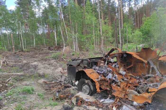Війна знищує українські ліси: Всесвітній фонд дикої природи оприлюднив шокуючі дані
