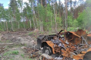 Війна знищує українські ліси: Всесвітній фонд дикої природи оприлюднив шокуючі дані
