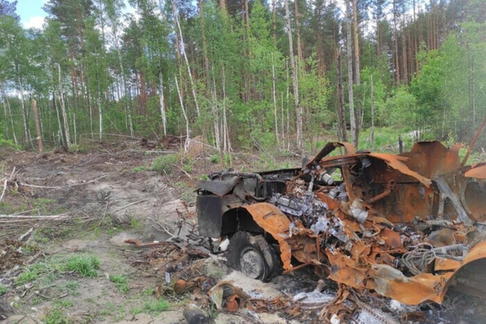 Война уничтожает украинские леса: Всемирный фонд дикой природы обнародовал шокирующие данные
