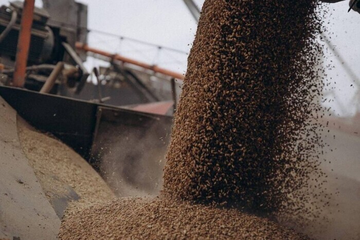 Срок действия зерновой сделки истекает 19 ноября
