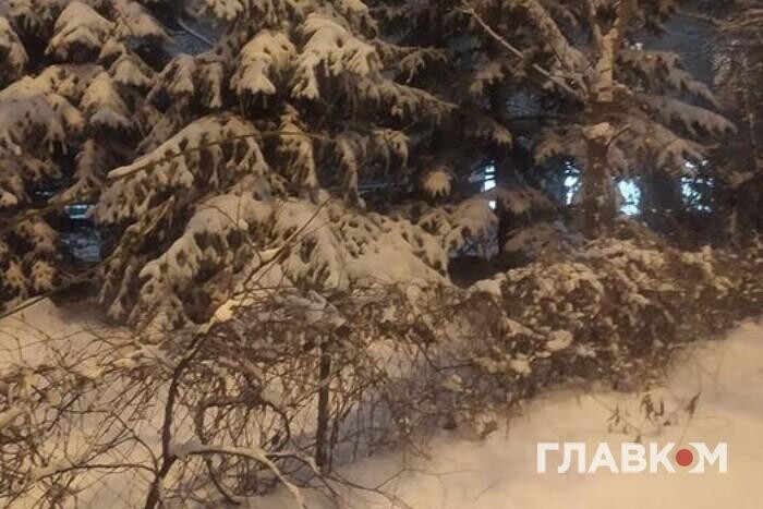 В Украину идут снегопады: где ждать резкой смены погоды