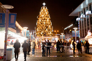 Влада Дніпра поки не ухвалила рішення щодо встановлення новорічної ялинки у центрі міста