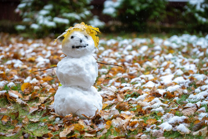 В Україні випаде сніг: прогноз погоди на 17 листопада