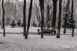 Київ прокинувся під білою ковдрою: фото першого снігу у столиці