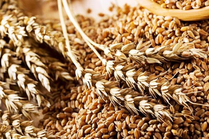 США виділили Україні $20 млн на підтримку зернової ініціативи