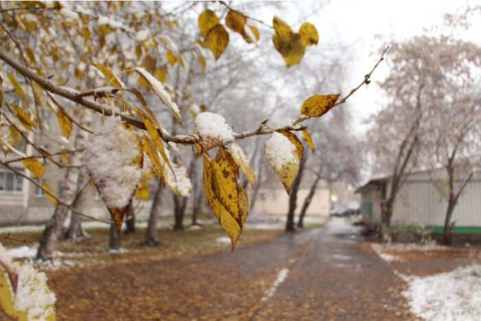 Україну накриває потужний антициклон: прогноз погоди на 2 грудня