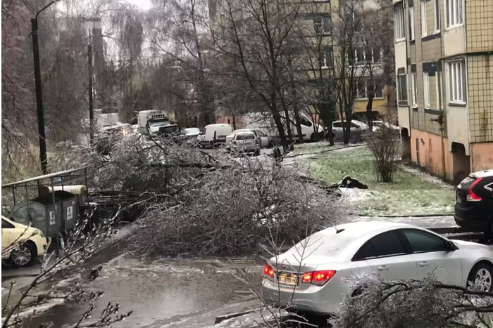 У Львові вирує негода: повалені дерева, обледенілі дороги (фото)