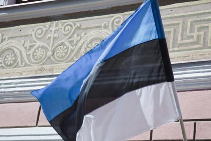 Естонія переводить навчальний процес на національну мову: ухвалено закон