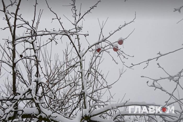 На Півночі країни випаде сніг: прогноз погоди на 15 грудня